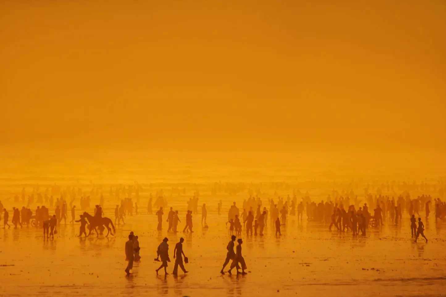 Rising global temperatures is among the environmental issues addressed by Shellenberger in his book