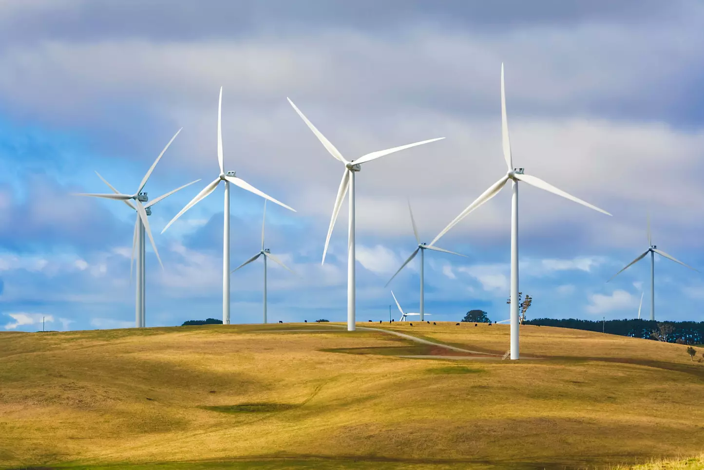 NIMBY may also cause a misallocation of investment on renewable energy projects, such as wind power